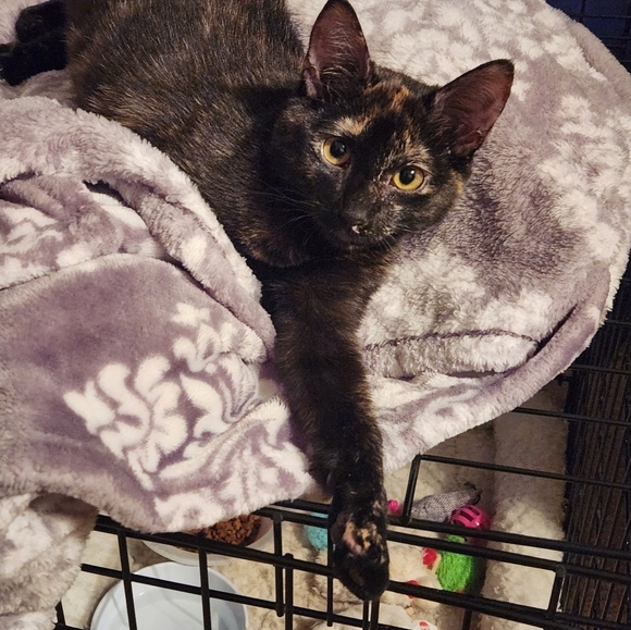 Meet your Posher, Teresa - Picture 5 of 5